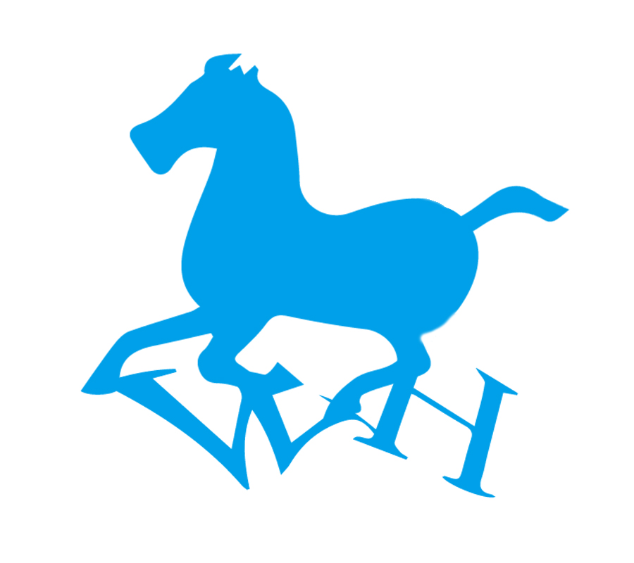 南京白馬智能科技有限公司