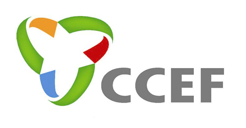 2011中國(深圳)消費電子展