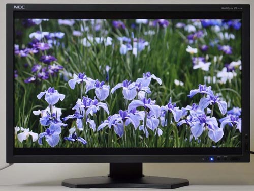 NEC PA241W專業(yè)液晶顯示器正面外觀
