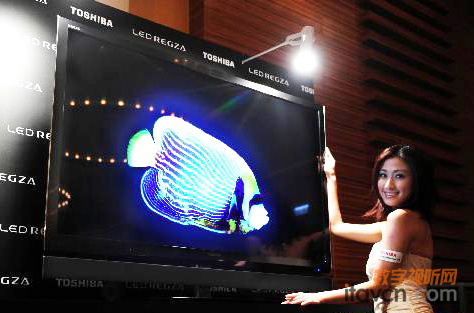 �|֥������Ƴ�REGZAϵ����ƷҺ���ҕ