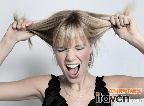 這塊給你,那塊給他