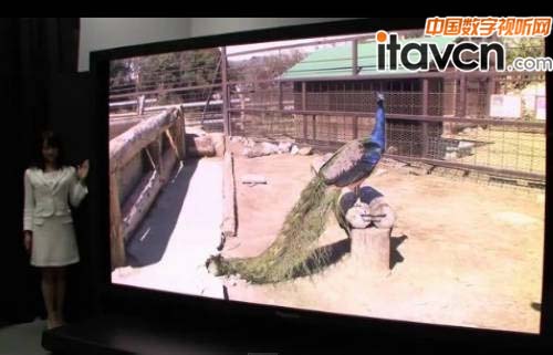 ������NHK�l��145Ӣ�糬�����ҕ