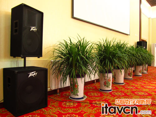 �����Pϵ�y