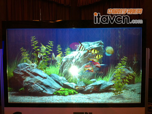 ��Ͷ�|����-1�_ NEC PA500X+