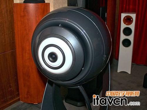 黑色大眼睛揚(yáng)聲器單元