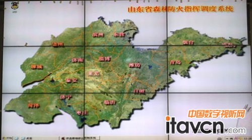 山東臨沂市林業局PD46N4_3X3拼接