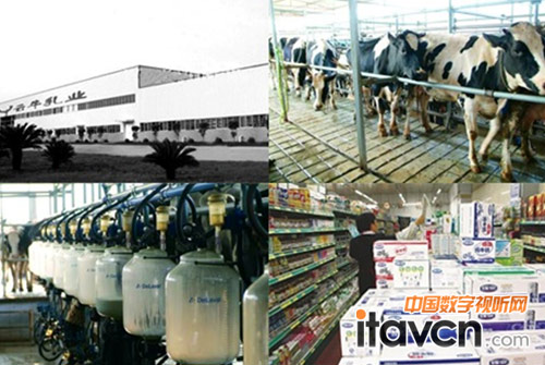 聯特微助云南乳王打造中國乳業第一品牌