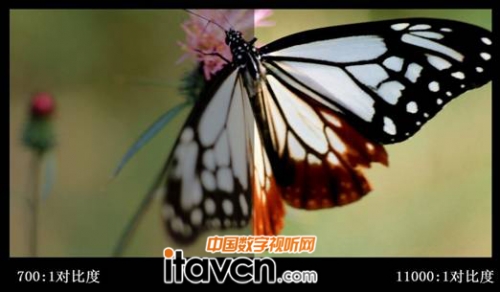 最高節能80%,燈泡壽命可達10000小時