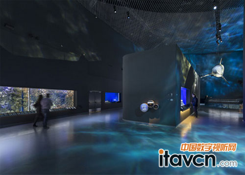 美亞聲數字音頻平臺D-Mitri入駐藍色星球水族館