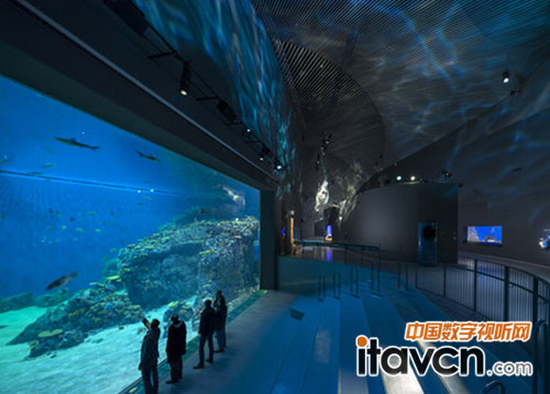 美亞聲數字音頻平臺D-Mitri入駐藍色星球水族館