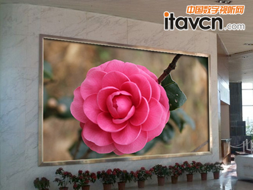 藍普室內高清大屏于華中科大深圳產學研基地炫目開屏