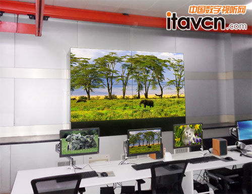 項目現場圖片一