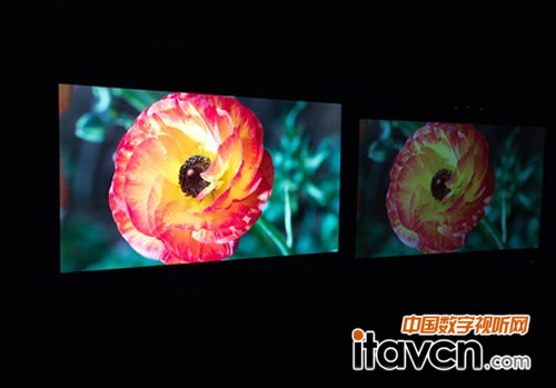 花:杜比最新成像技術(shù)(左)—現(xiàn)行標(biāo)準(zhǔn)(右)