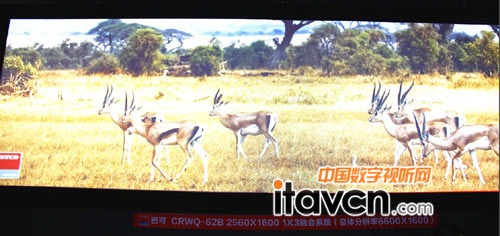 巴可CRWQ-62B融合方案展示