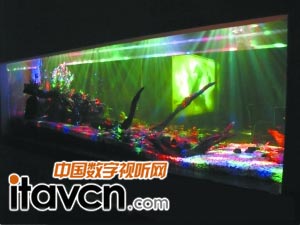 炫彩燈控魚缸。