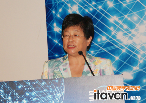 中國(guó)教育學(xué)會(huì)副秘書長(zhǎng)陳力發(fā)言