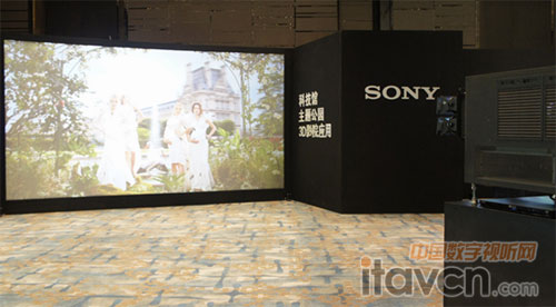 科技館/ 主題公園3D影院應用