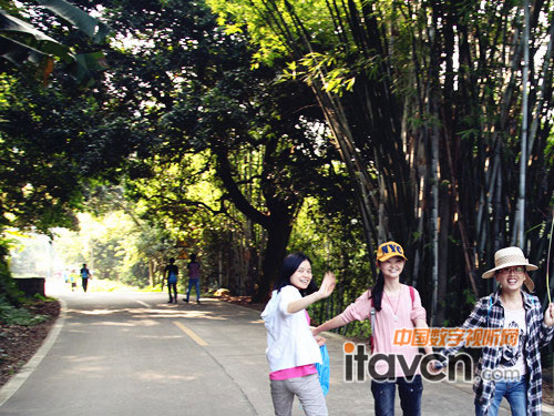 奧威亞科技全體員工齊聚蘿崗北斗山