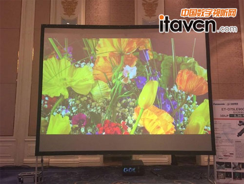 ȫ���װl�¿�̽���Ͷ