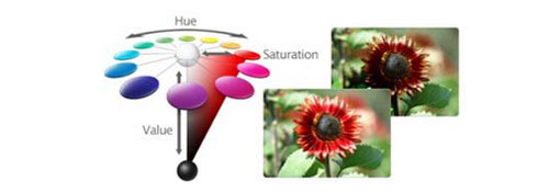 ���ʽ^����ɫ�ʱ��F(xi��n)