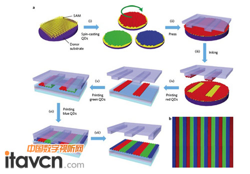 量子點(diǎn)QLED工作原理圖