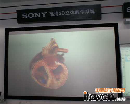 ����3D���w�̌Wϵ�y