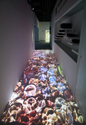 率先領略前沿視訊應用 優派上海視覺體驗中心盛大開幕