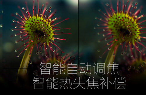 �����Ԅ��{��