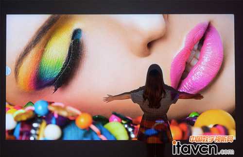 ɫ������