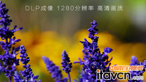 三、高清畫面 色彩亮麗逼真