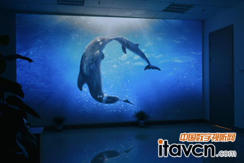 ��Z1Ч���@ʾ