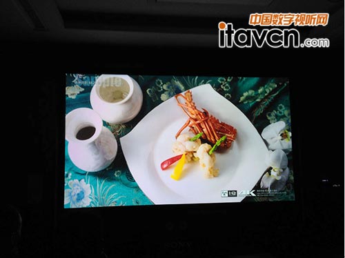 二樓德克薩斯廳 :Sony 真4K全國(guó)鑒賞會(huì)