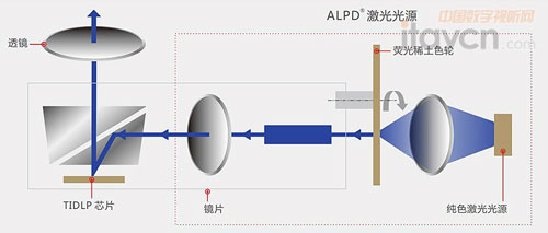 亮度成為價格和陣營的分割線
