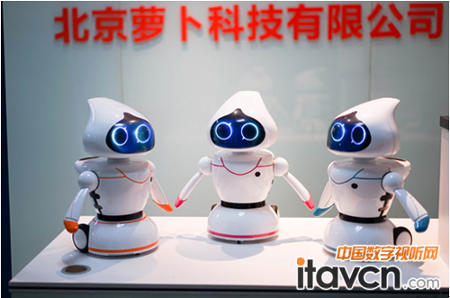 NO.1 小蘿卜發布