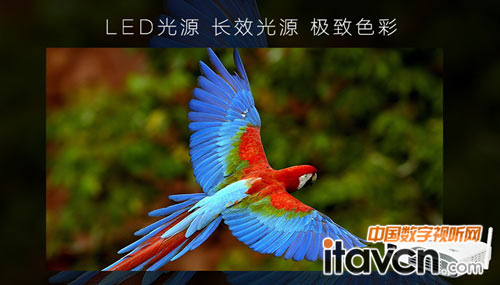 美高家用高清微型投影機 家庭300吋影院