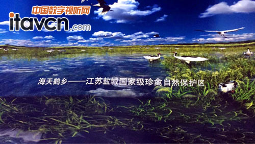 ��ҕ�����ڇ����ׂ�&ldquo;����CAVE&rdquo;