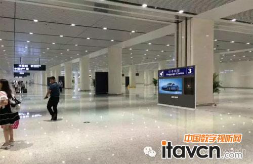 ����Ч���D