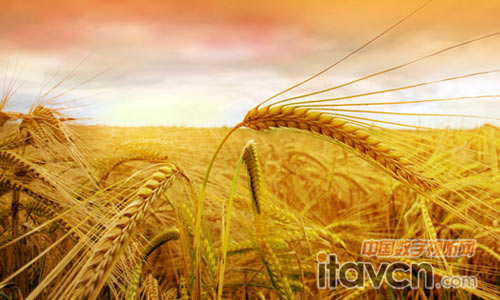 �廢�ό��������޲ʠI�N����wλ