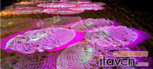 赤峰——夜空中最亮的星2