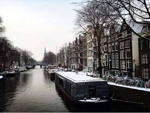 C-MARK�@�G����ISE���Iҕ ʢ��