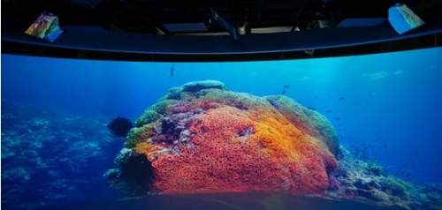 “WARP超空間”雙曲面沉浸式展廳