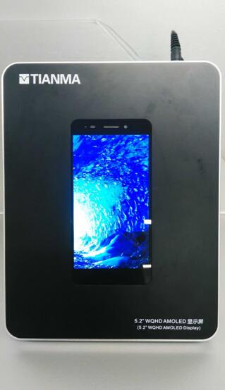 天馬5.2英寸 WQHD AMOLED顯示屏