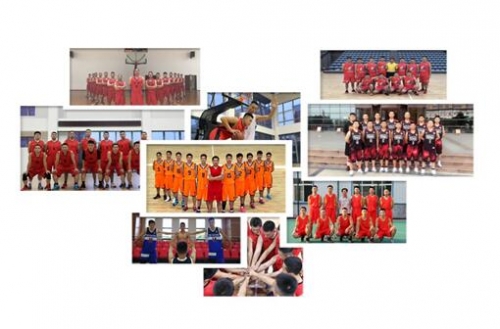 圖1:各大球隊陣容