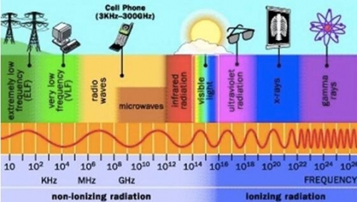 教師不可不知的兩大健康謠言真相