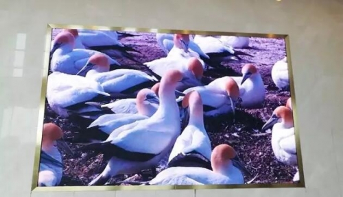 觀眾入口LED顯示屏