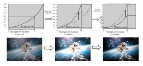 動態(tài)黑位功能提供黑與白的強烈對比