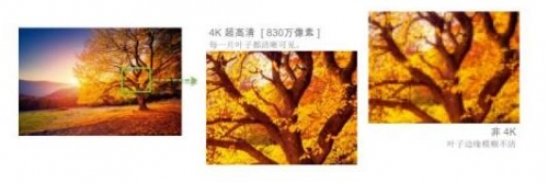 4K分辨率標準,結(jié)合TI XPR 技術(shù)提供超過830萬有效像素,讓細節(jié)清晰畢現(xiàn)