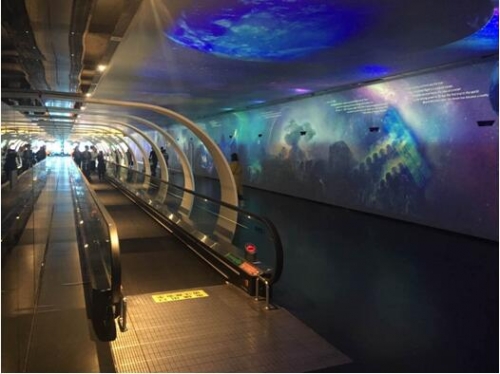 AVANZA��ӳ�Ƴ����̶̽�ϵ��Ⱥ