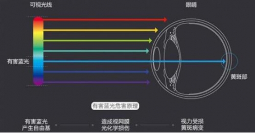 有害藍光會對眼睛造成損傷(圖片來源于網絡)