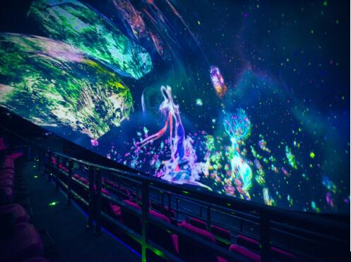 “黿渚明珠”飛行體驗(yàn)館打造的櫻花隨風(fēng)飛舞使觀眾身臨其境